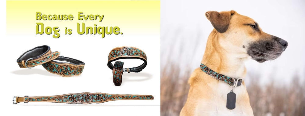 Majestic Ally padded leather collar close-up emphasizes comfort and reduced rubbing along neck.