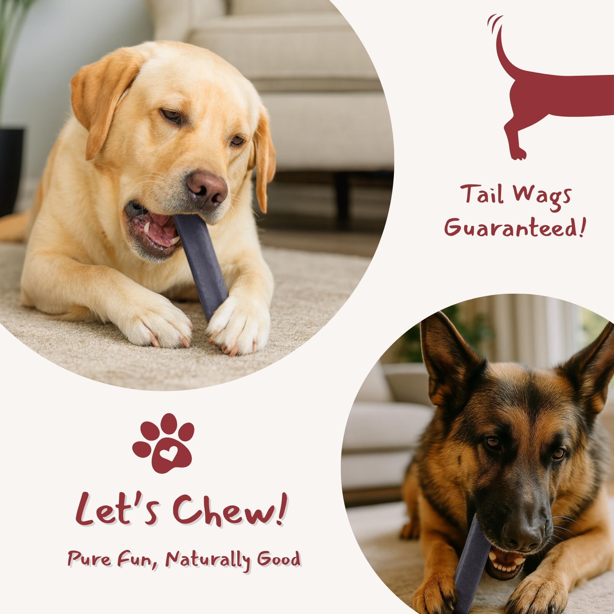 Majestic Pet Himalayan yak cheese chews packaging emphasizes odor-free claim