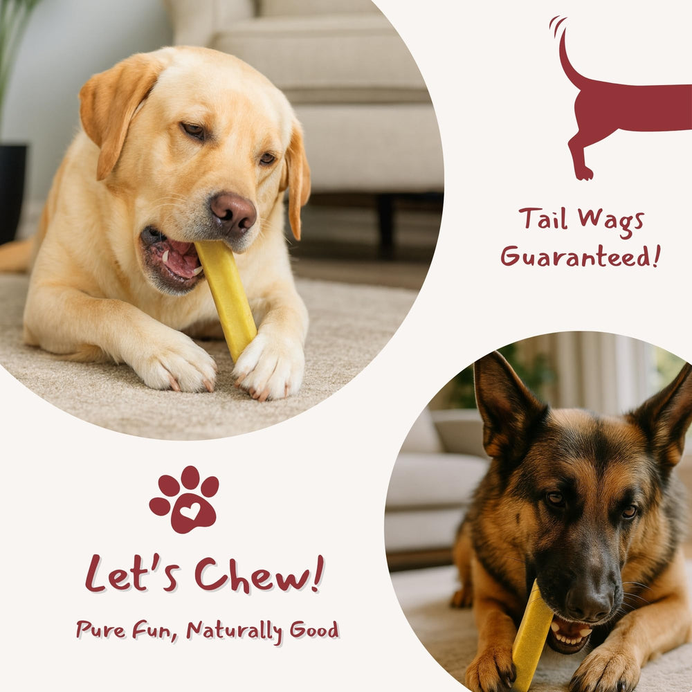 Majestic Pet Himalayan chews with safety tips for supervised chewing
