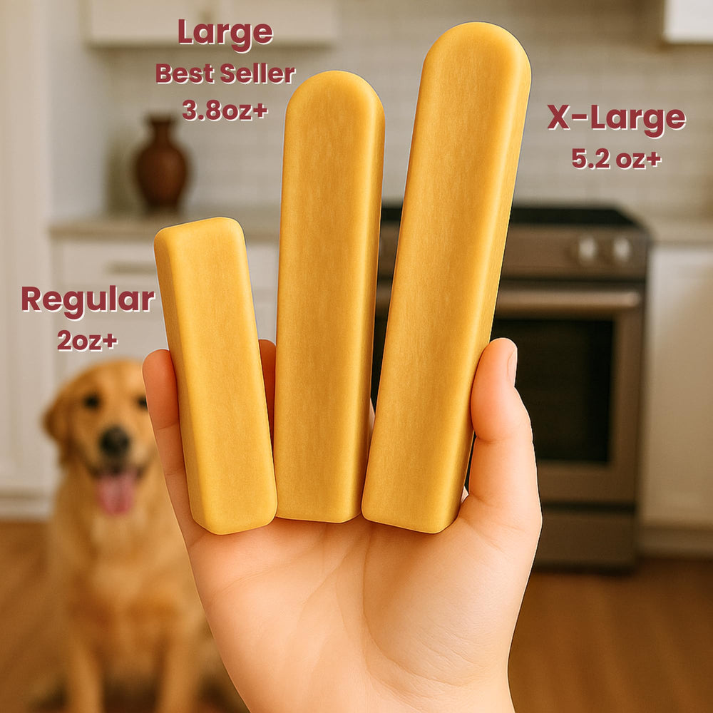 Majestic Pet Yak Chews: perro masticando con interés.