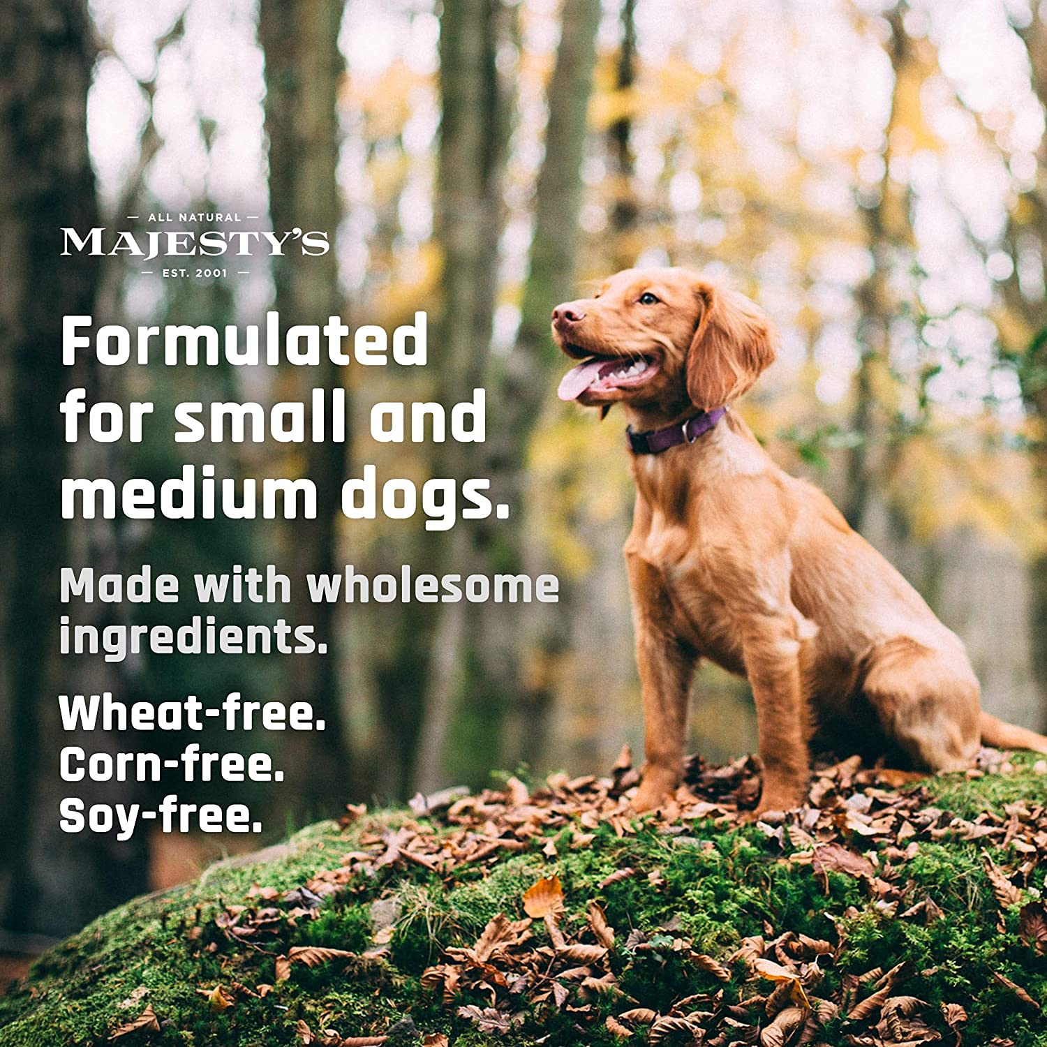 Close-up of Majesty's Buddy Bites wafers showing chewable texture for daily dosing