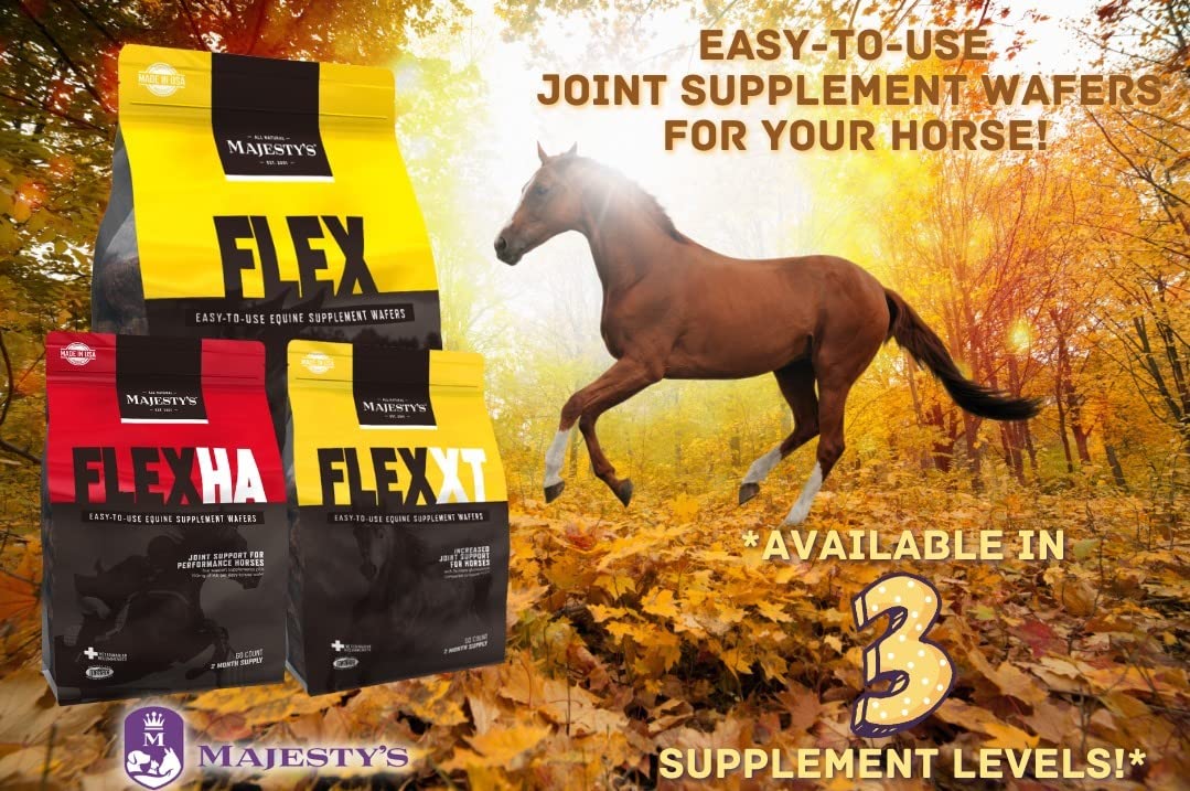 Horse taking Majesty's Flex XT Wafers demonstrates direct feed delivery.