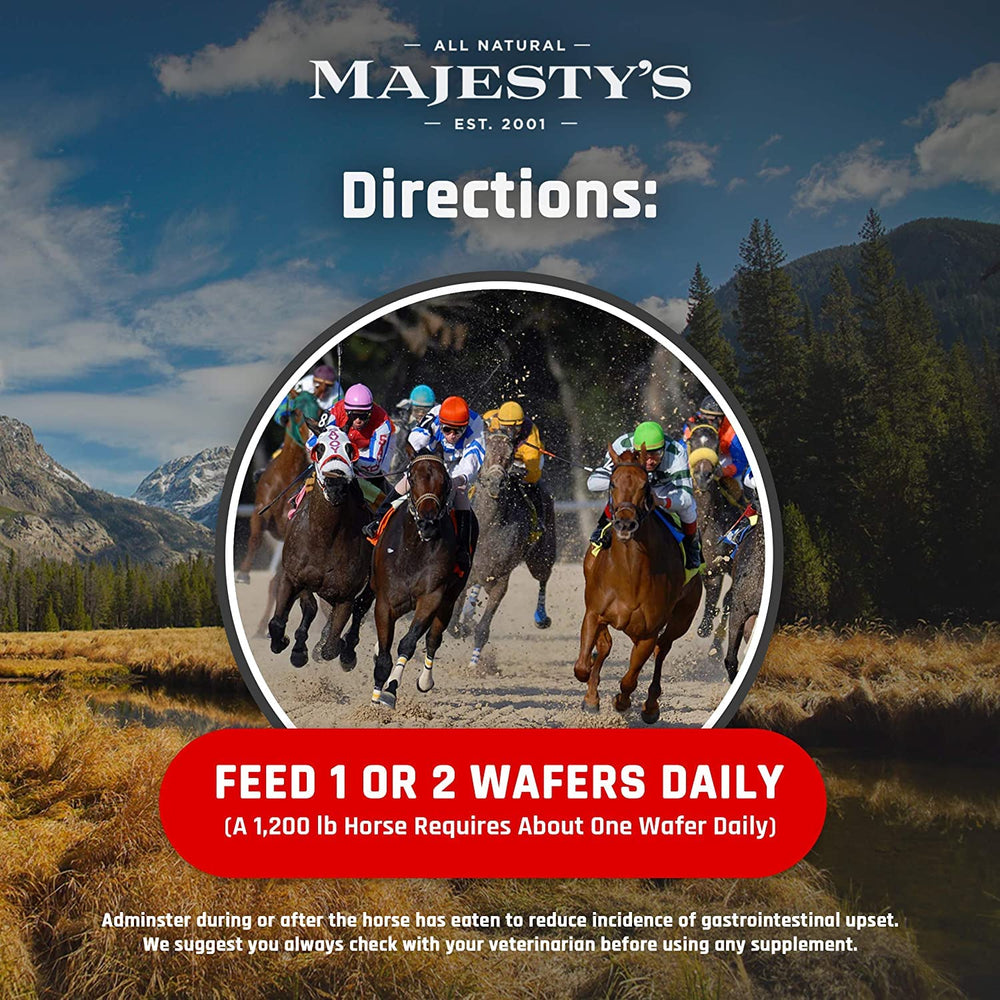 Two-bag Majesty's Flex XT Wafers package indicates extended supplementation.