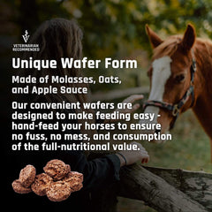 Horse being offered Majesty's Omega Wafers directly, illustrating no-waste delivery