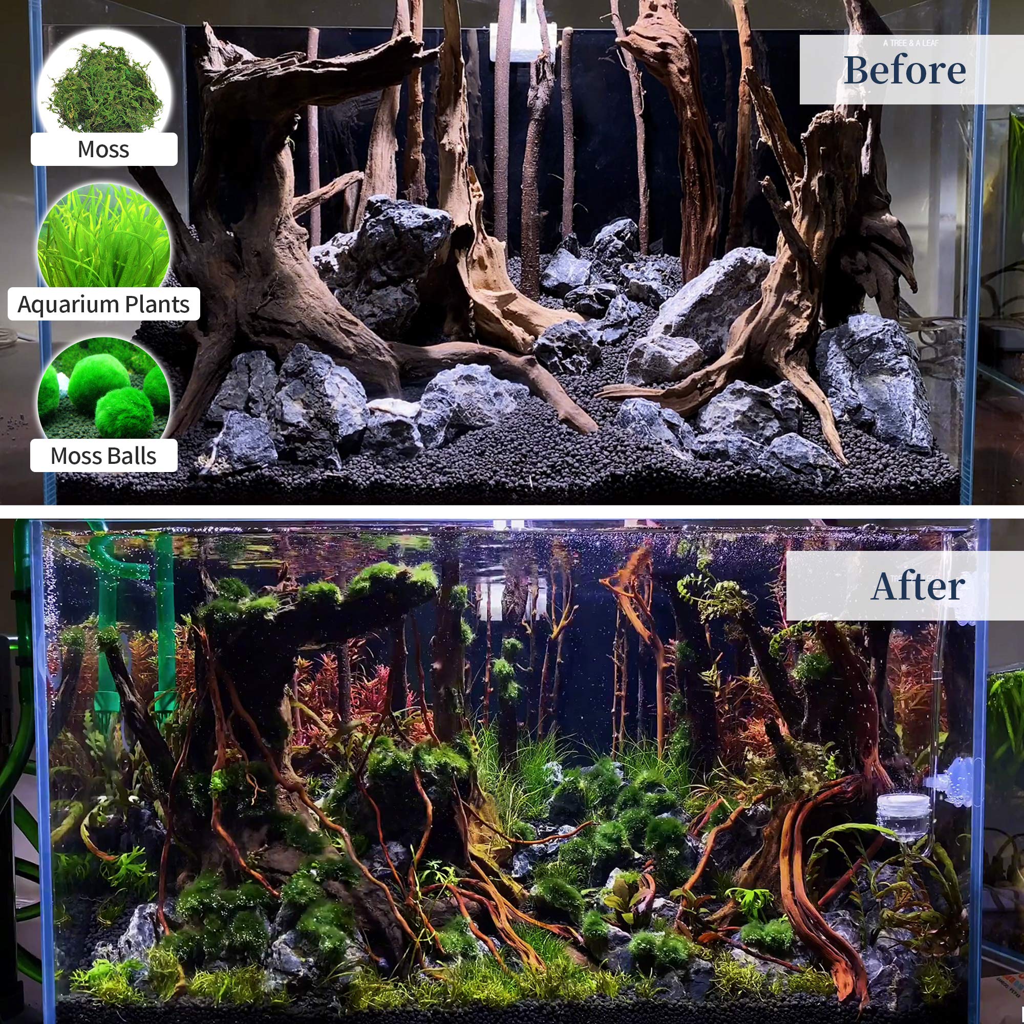 majoywoo driftwood decor elevates tank scenery and supports active inhabitants