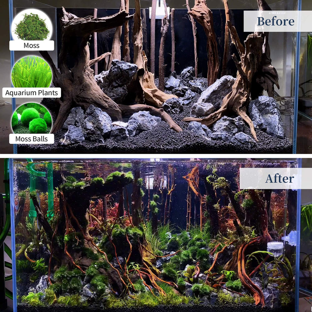 majoywoo durable driftwood suitable for underwater or terrarium environments.
