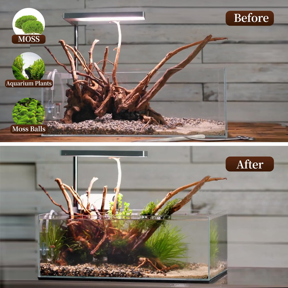 majoywoo natural driftwood 7-11-inch variety fits multiple tank styles