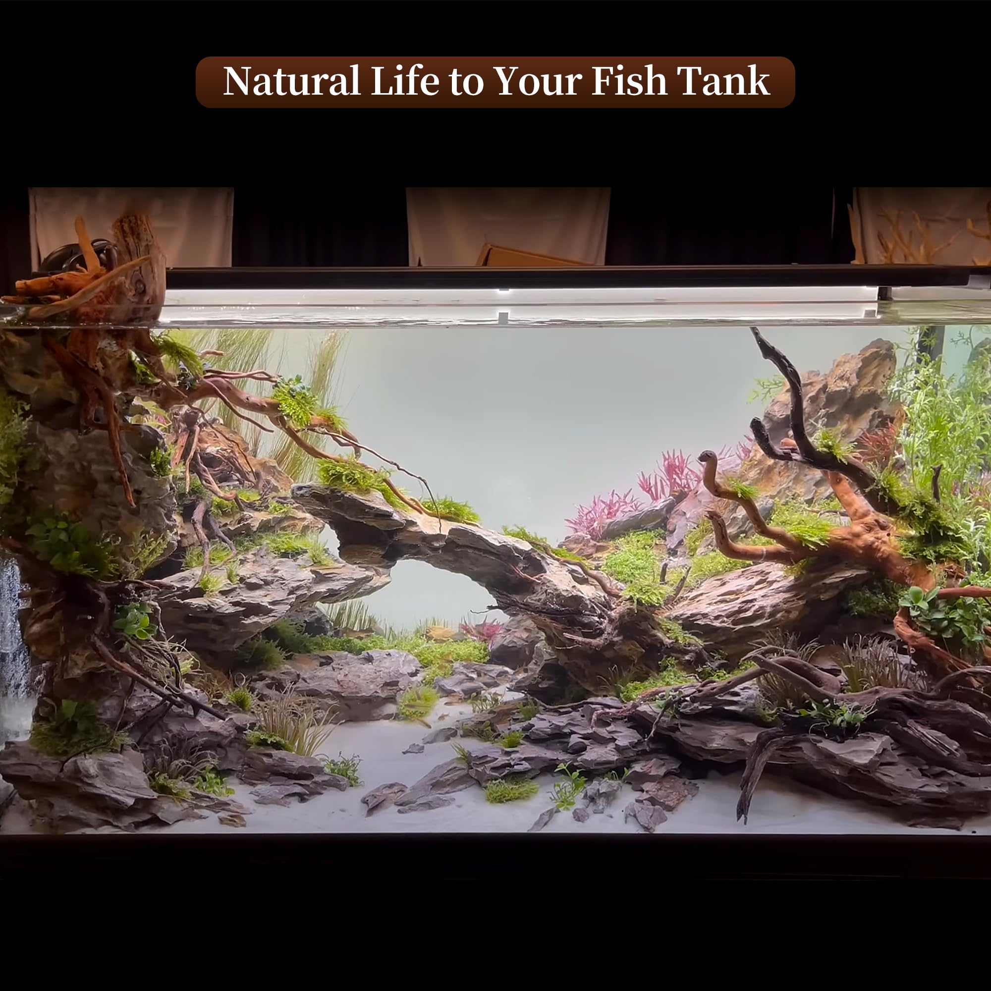 majoywoo spider wood branch 7-11-inch durable decor for aquatic and dry setups