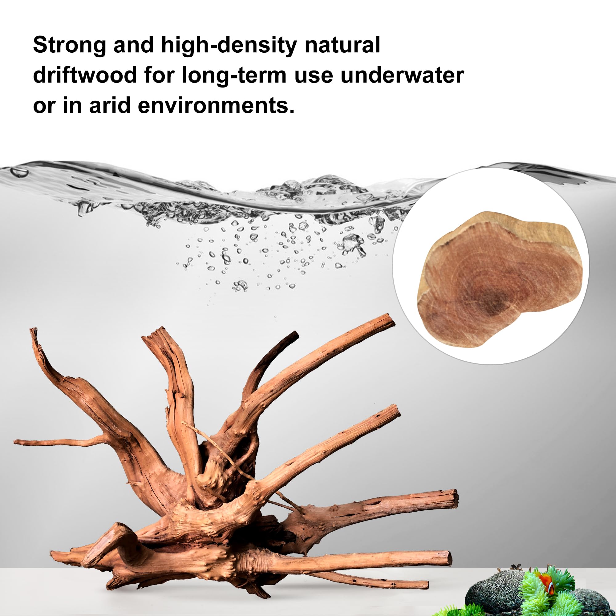 majoywoo spider wood reptile decor showcases sturdy texture ideal for climbing and habitat enrichment