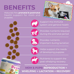 Makondo Pets prenatal chews chicken flavor close-up indicating easy feeding