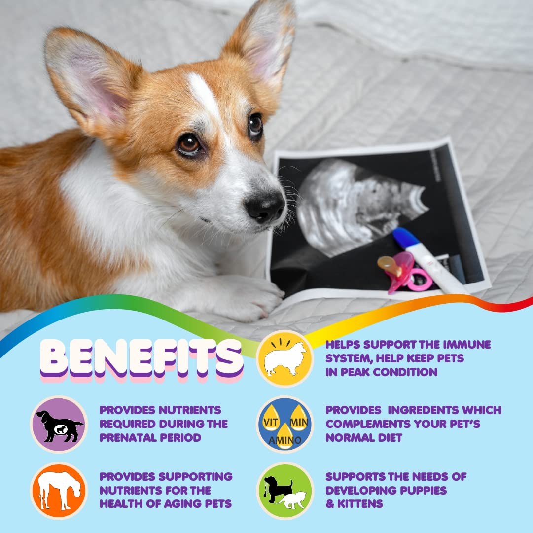 Makondo Pets prenatal label highlights folic acid and calcium for balanced care.