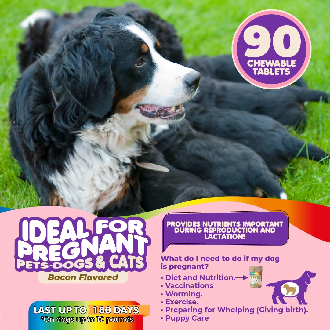 Makondo Pets prenatal powder with scoop enables easy, consistent daily dosing.