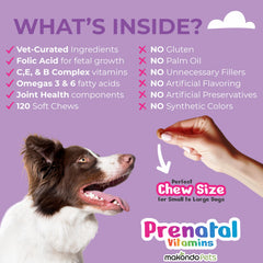 Makondo Pets puppy growth illustration suggesting early development support