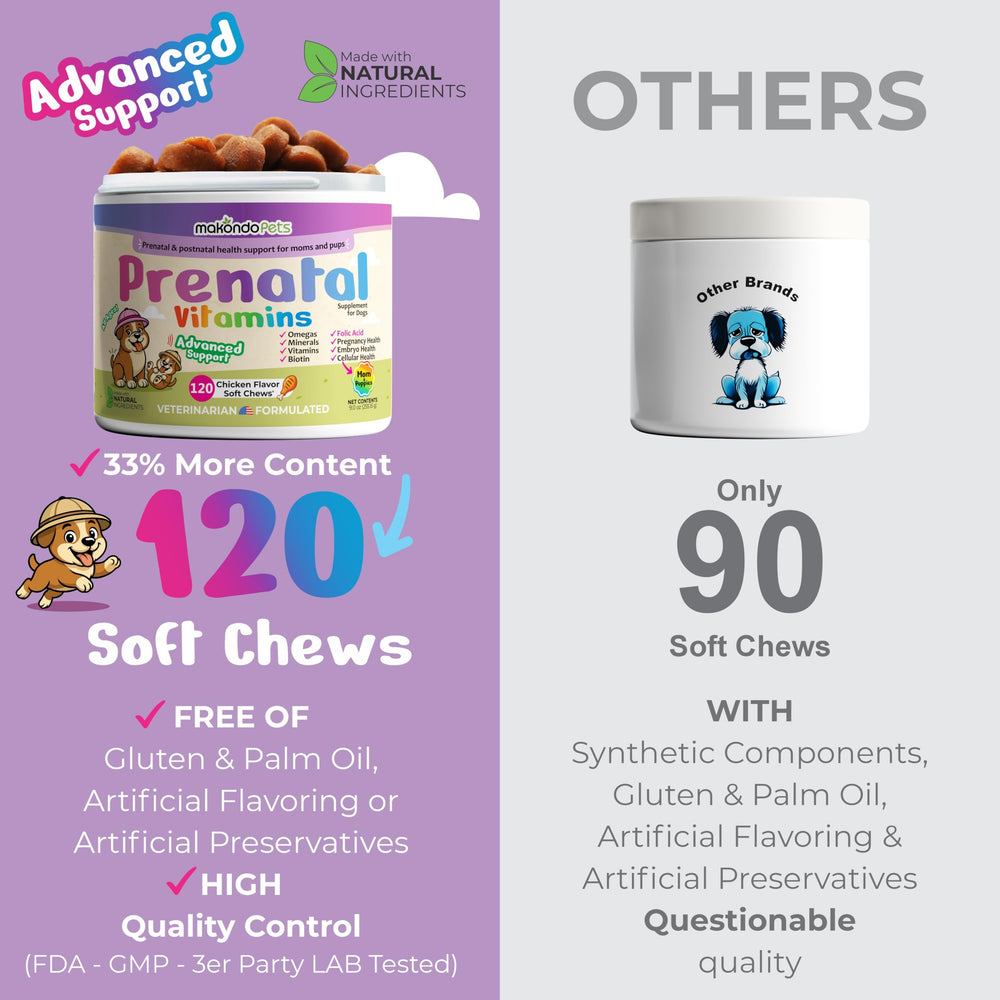 Makondo Pets image of FDA-registered facility for quality manufacturing