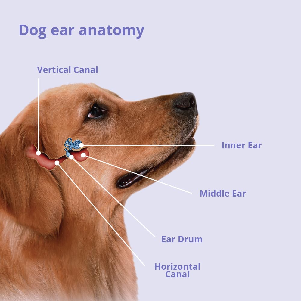 Mal-A-Ket Plus TrizEDTA Flush visuals enable simple routine care for pets.