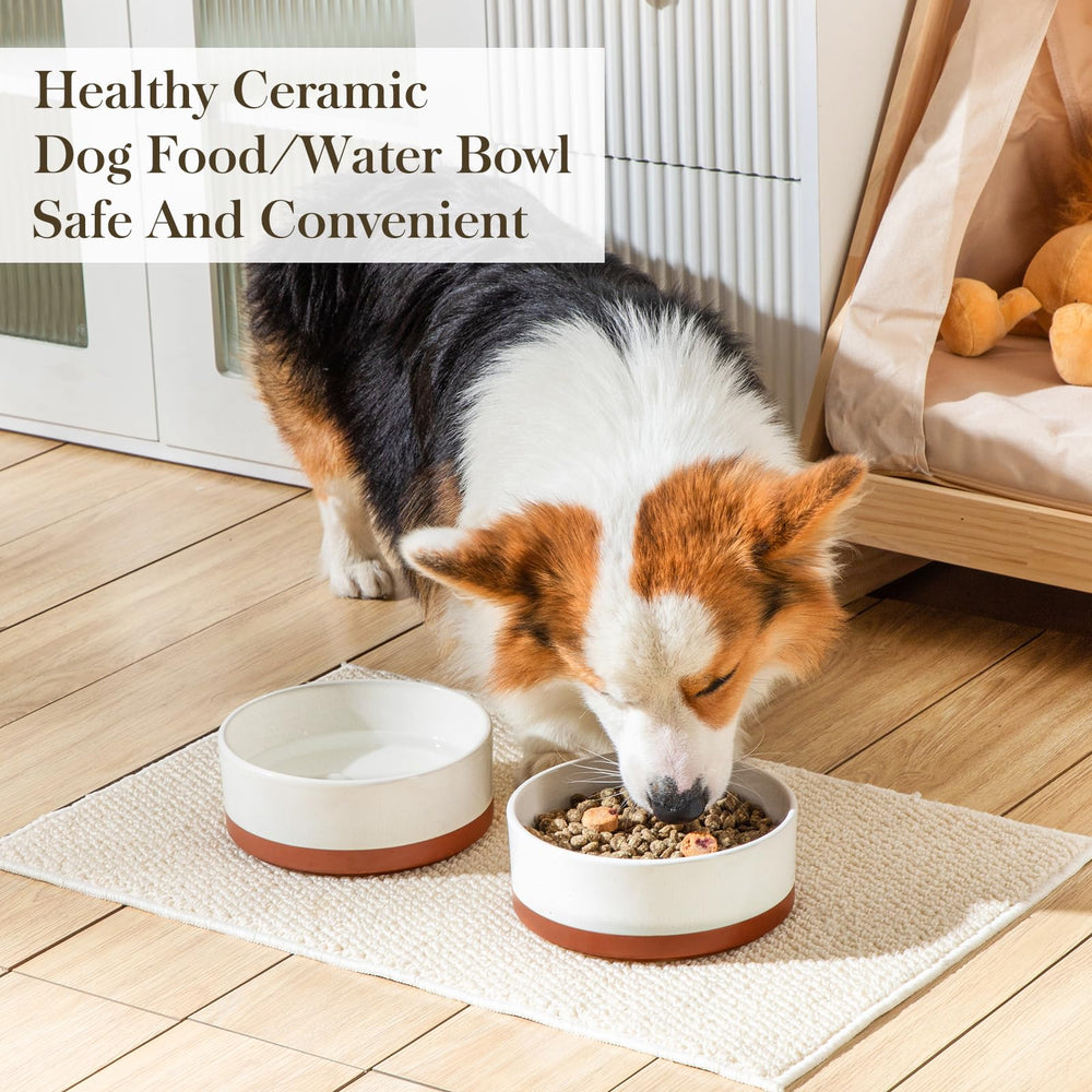 MALACASA dog bowl 6.75-inch diameter designed for medium dogs.