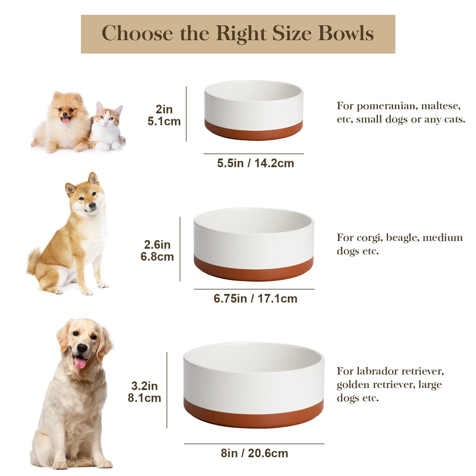 MALACASA dog bowl front view shows wide rim for easy feeding.