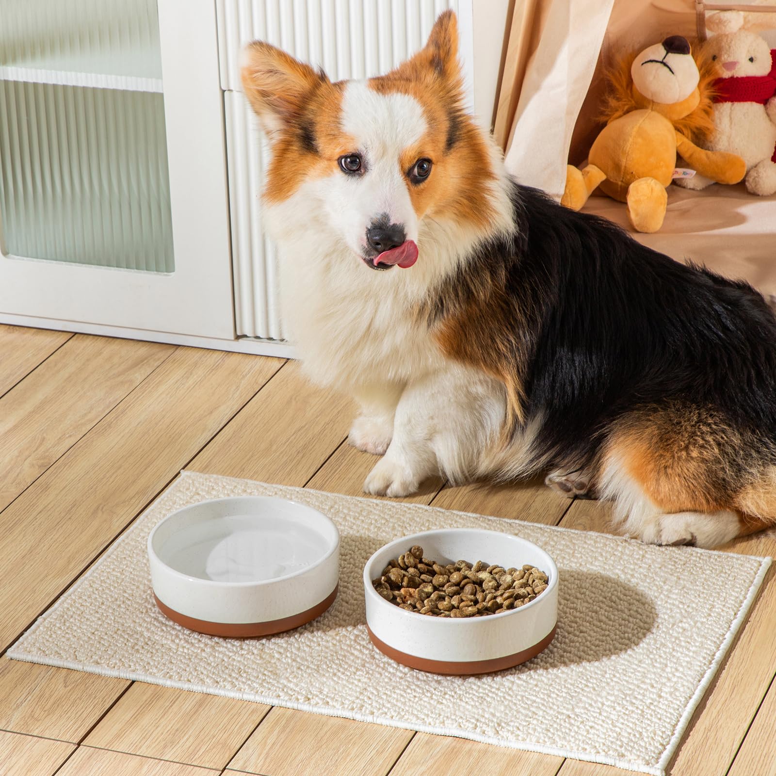 MALACASA dog bowl lead-free glaze supports safer daily use.