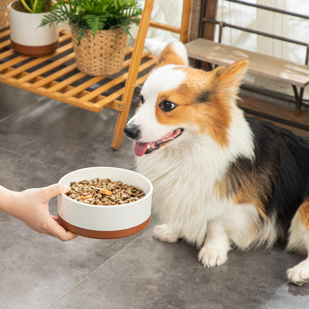 MALACASA dog bowl stable base minimizes tipping during enthusiastic meals.