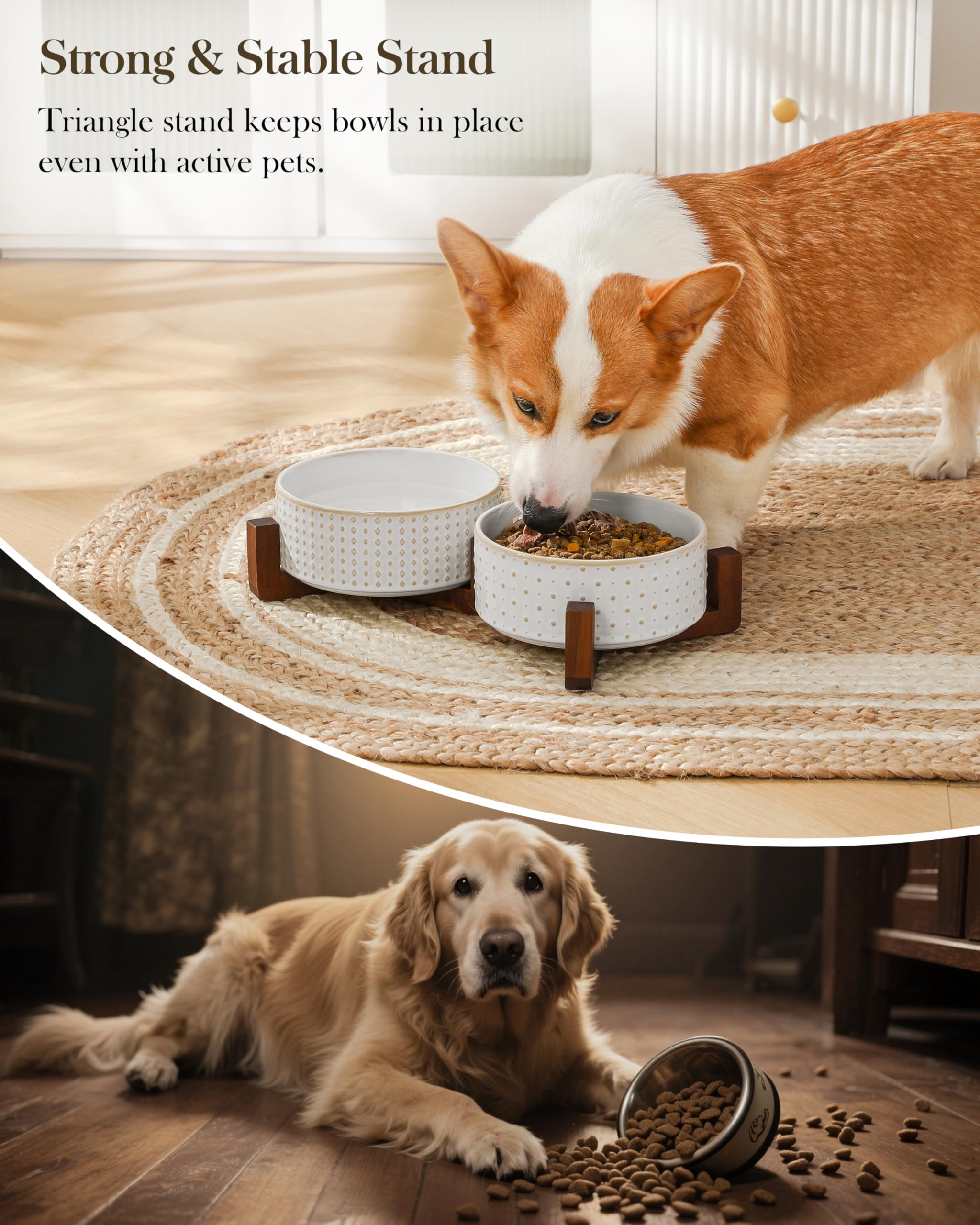 MALACASA lead-free food-grade ceramic bowls for safe pet dining