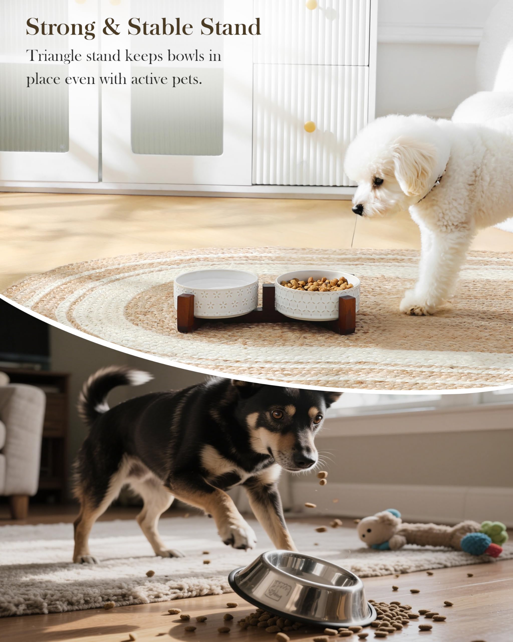 MALACASA removable bowls simplify cleaning and refilling