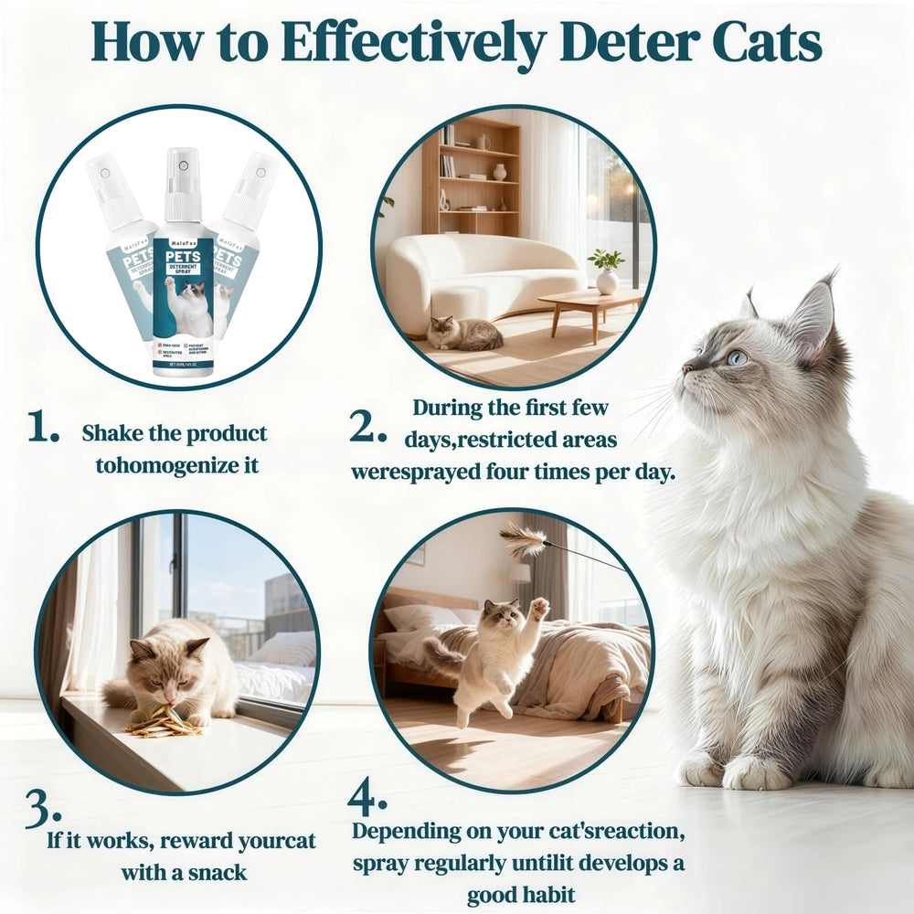 MalaFox O Cat Deterrent Spray fast-drying finish keeps spaces clean
