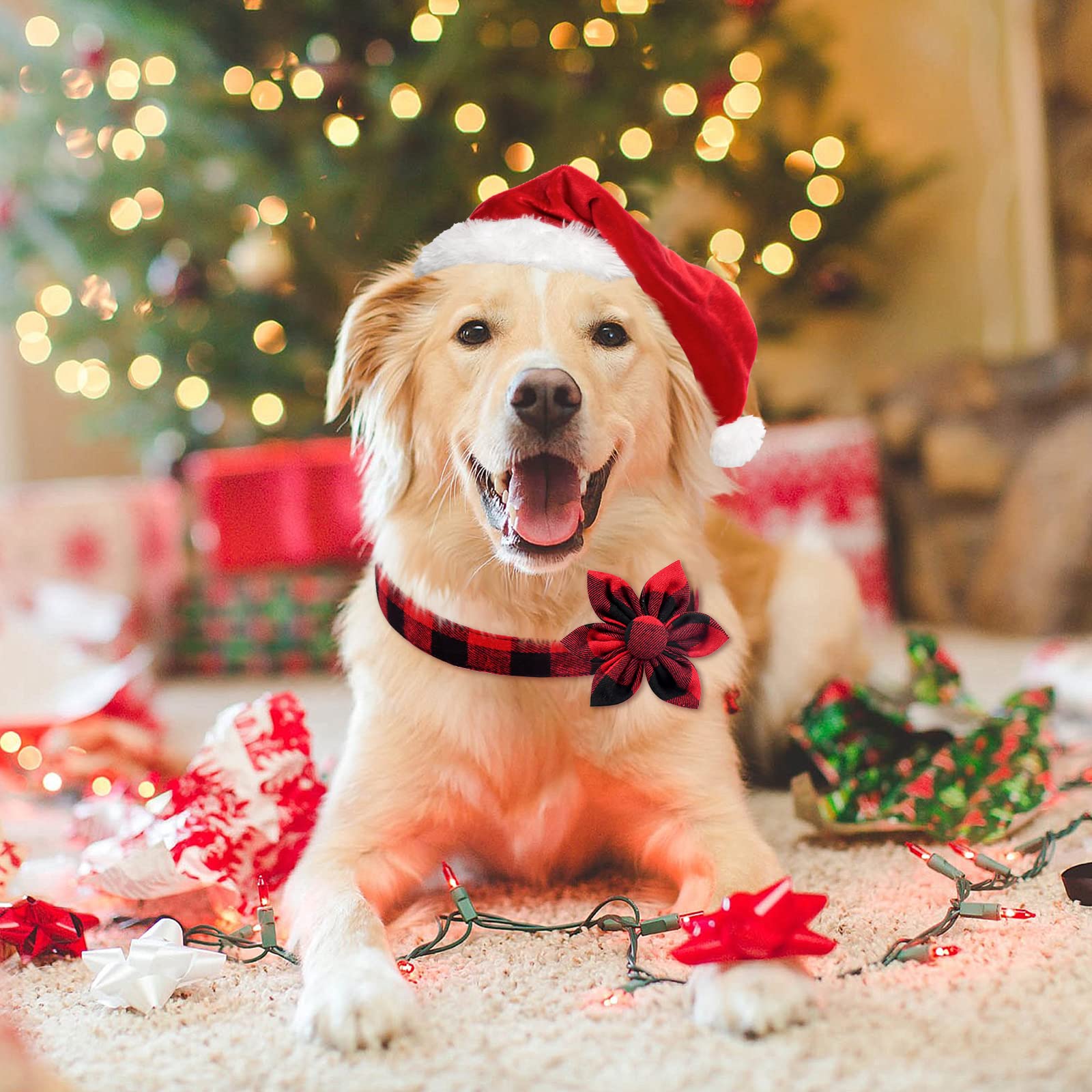 Malier flower-on-plaid collar in green-red, removable bloom for festive pet photos