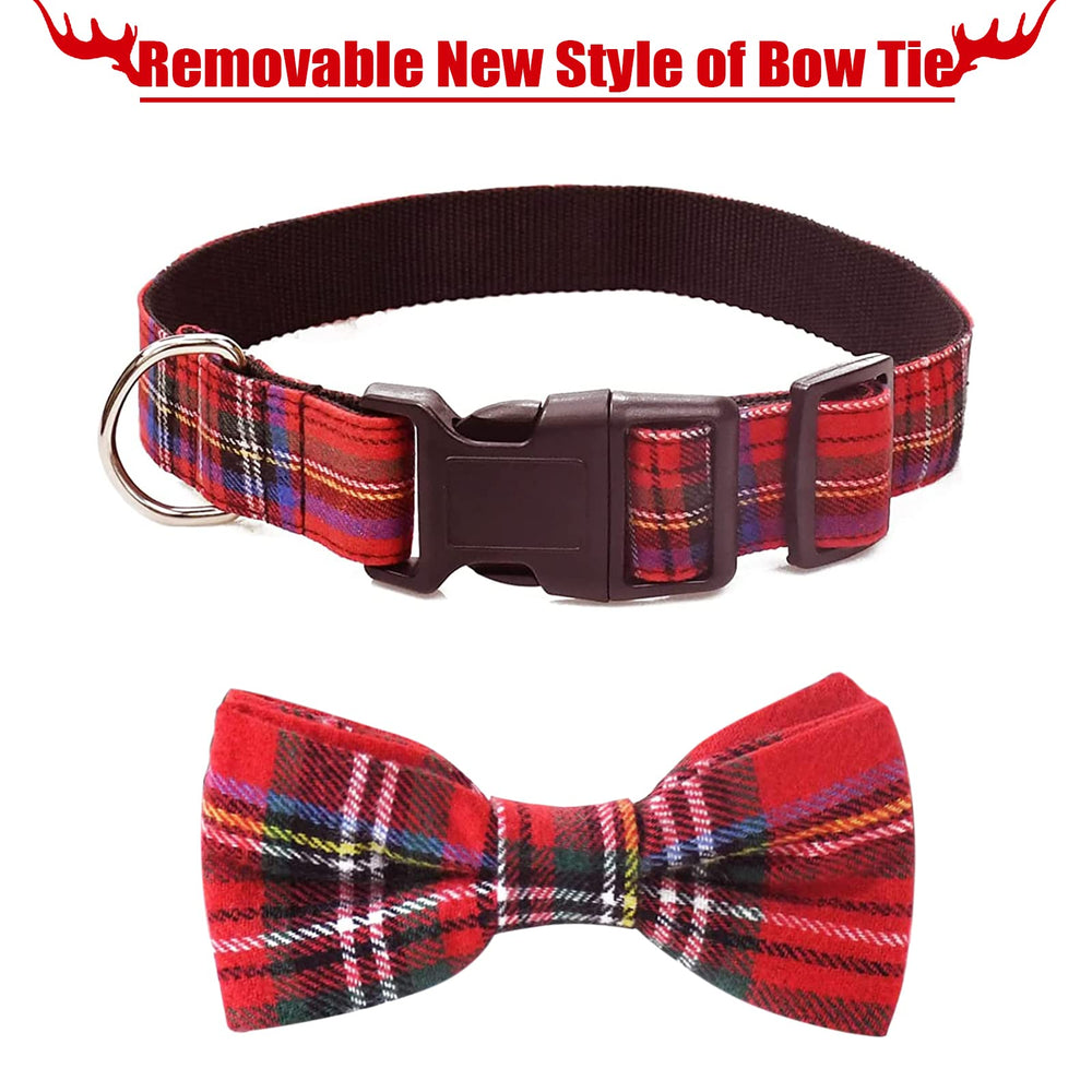 Malier Christmas-pet-photoshoot captures charming holiday moments with this plaid accessory