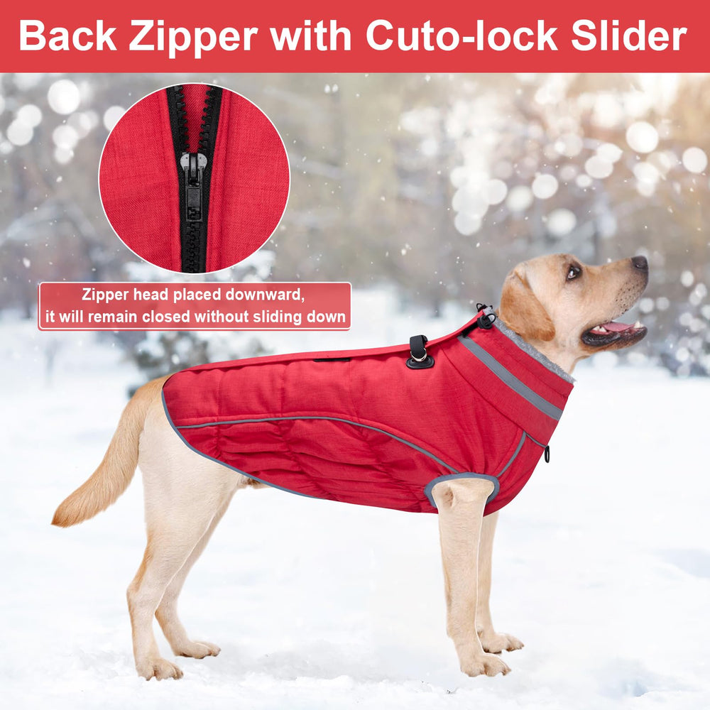 Malier dog coat back zipper harness setup for easy on/off and safety.