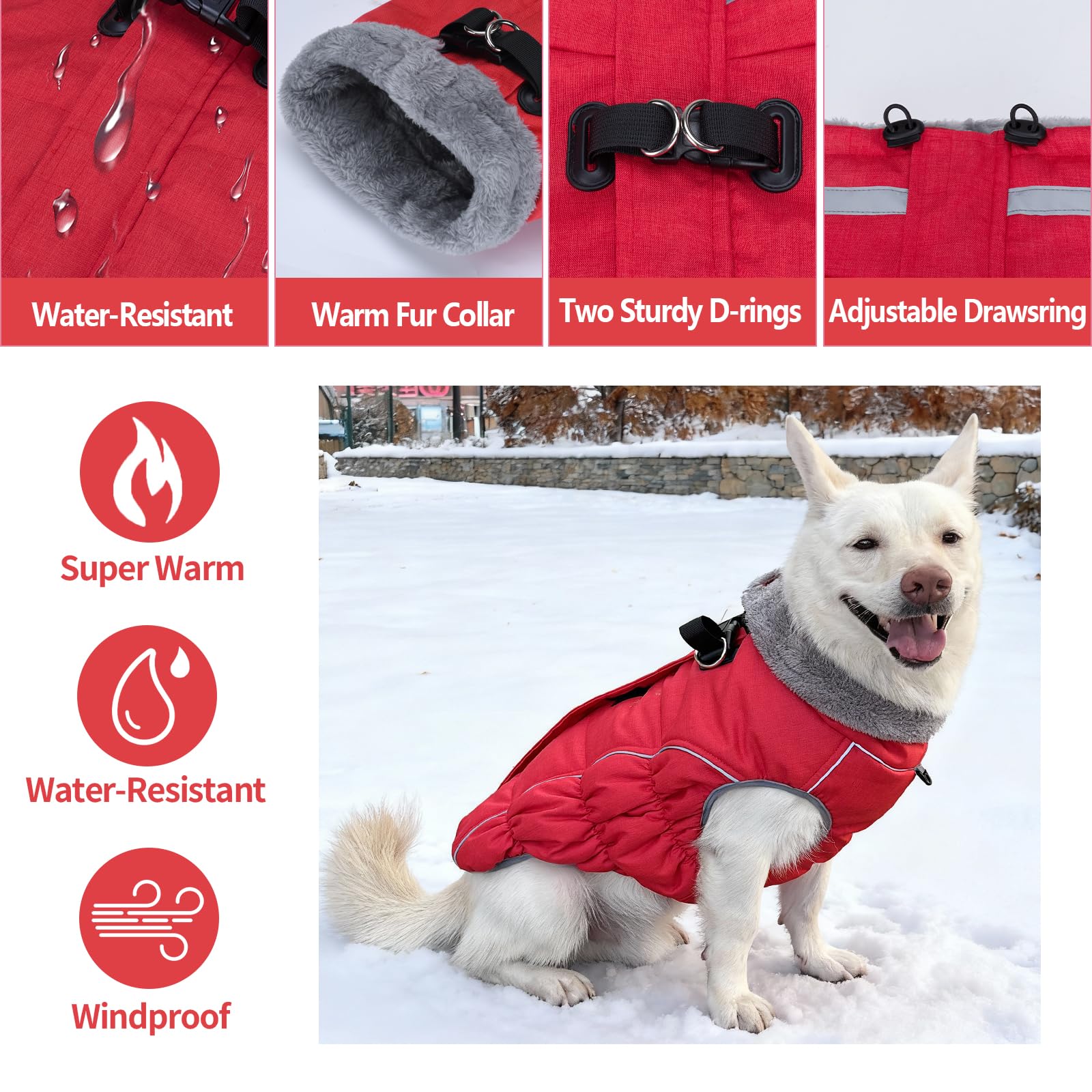 Malier dog coat elastic abdomen design shown for comfortable fit.