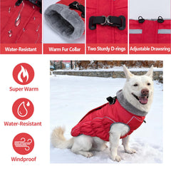Malier dog coat elastic abdomen design shown for comfortable fit.