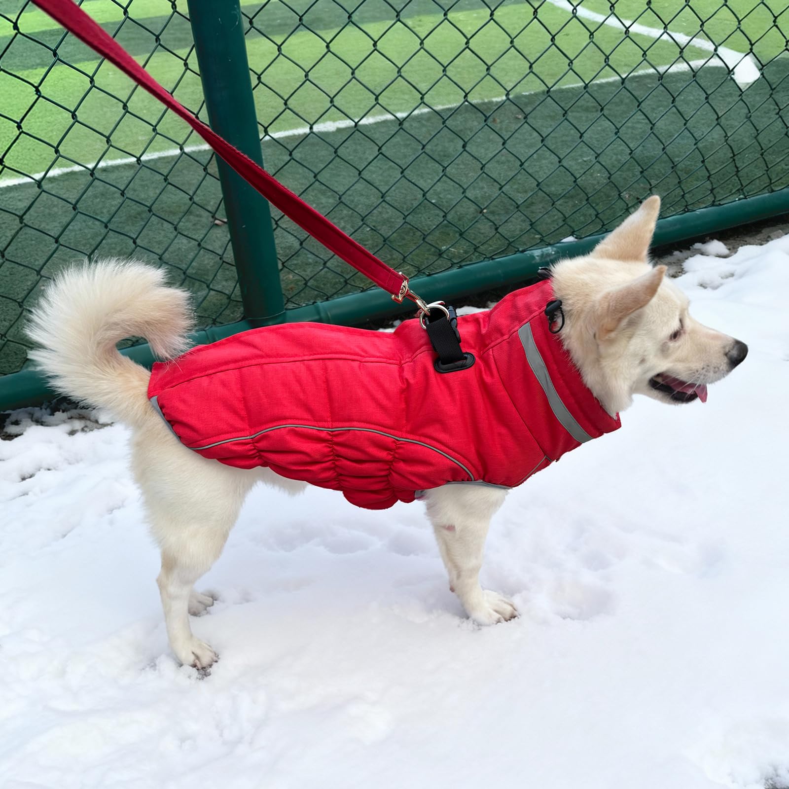 Malier dog coat reflective strips boost night visibility for evening walks.