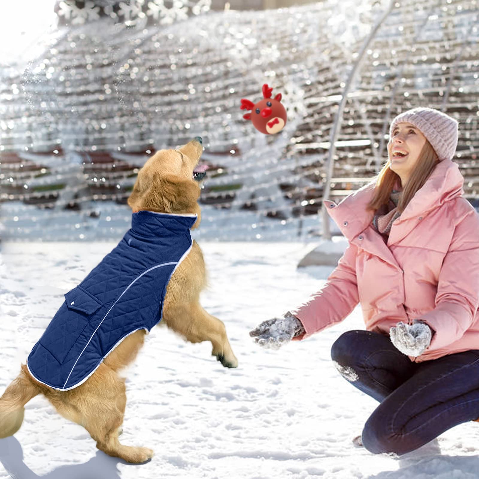 Malier dog coat available in seven sizes and blue color for various breeds.