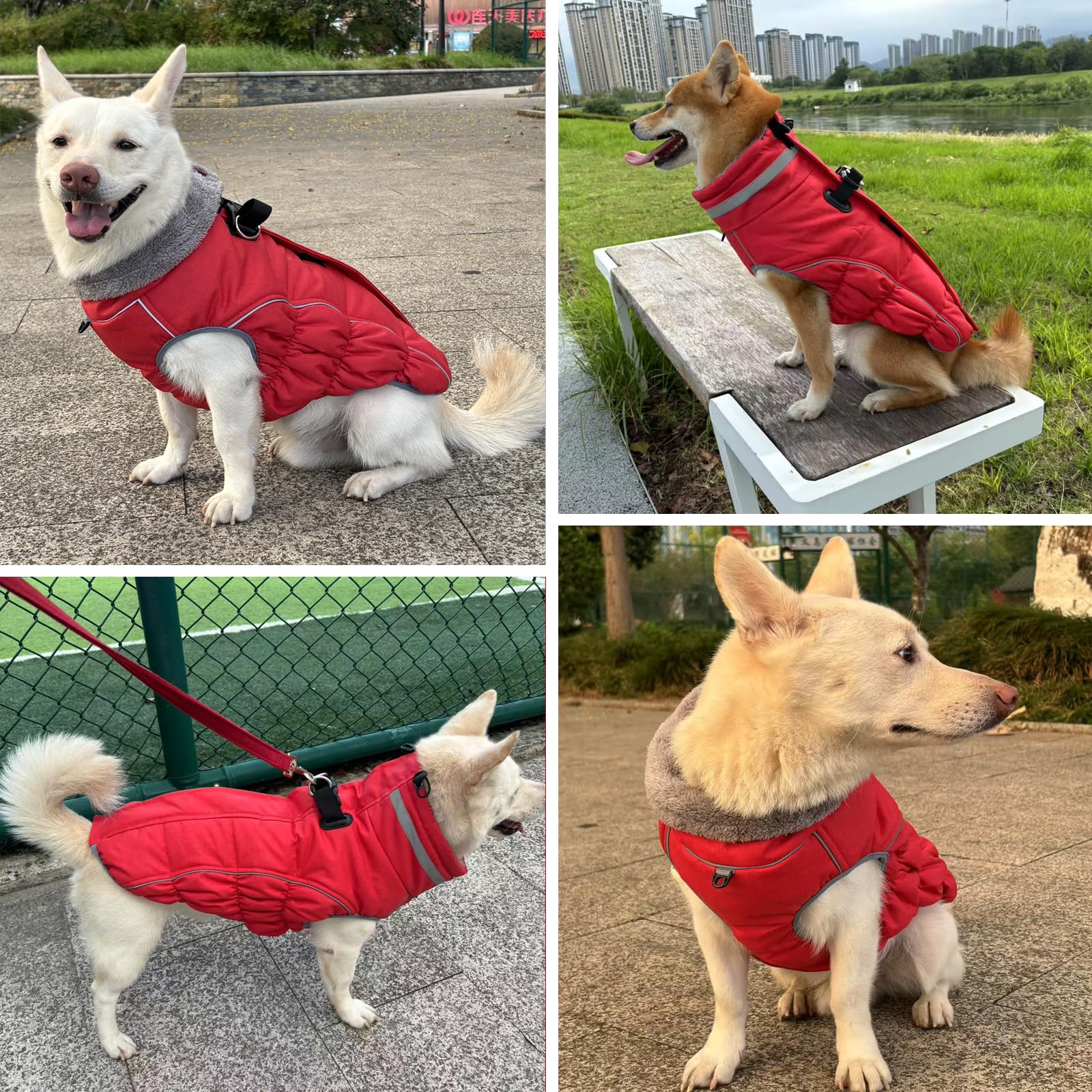 Malier dog coat step-in design ready for winter walks and play.