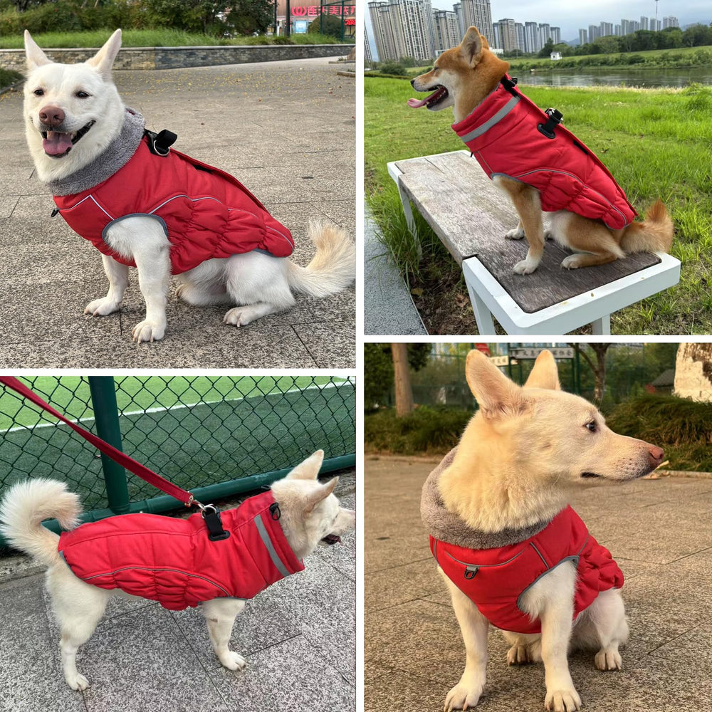 Malier dog coat step-in design ready for winter walks and play.