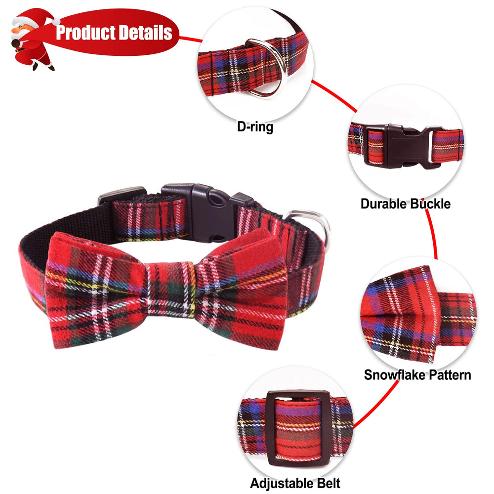 Malier dog-collar-adjustable-buckle highlights easy sizing and secure wear