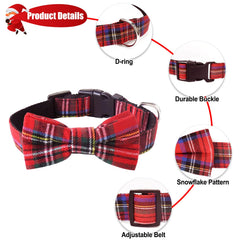 Malier dog-collar-adjustable-buckle highlights easy sizing and secure wear
