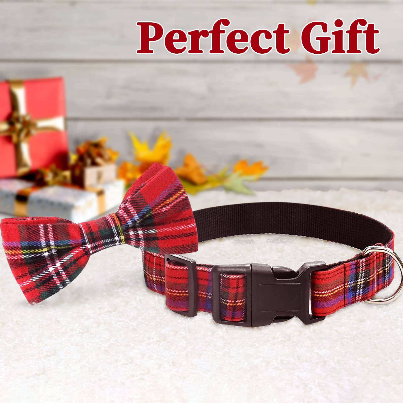 Malier dog-collar-bow-tie-on-cat illustrates secure and gentle fit