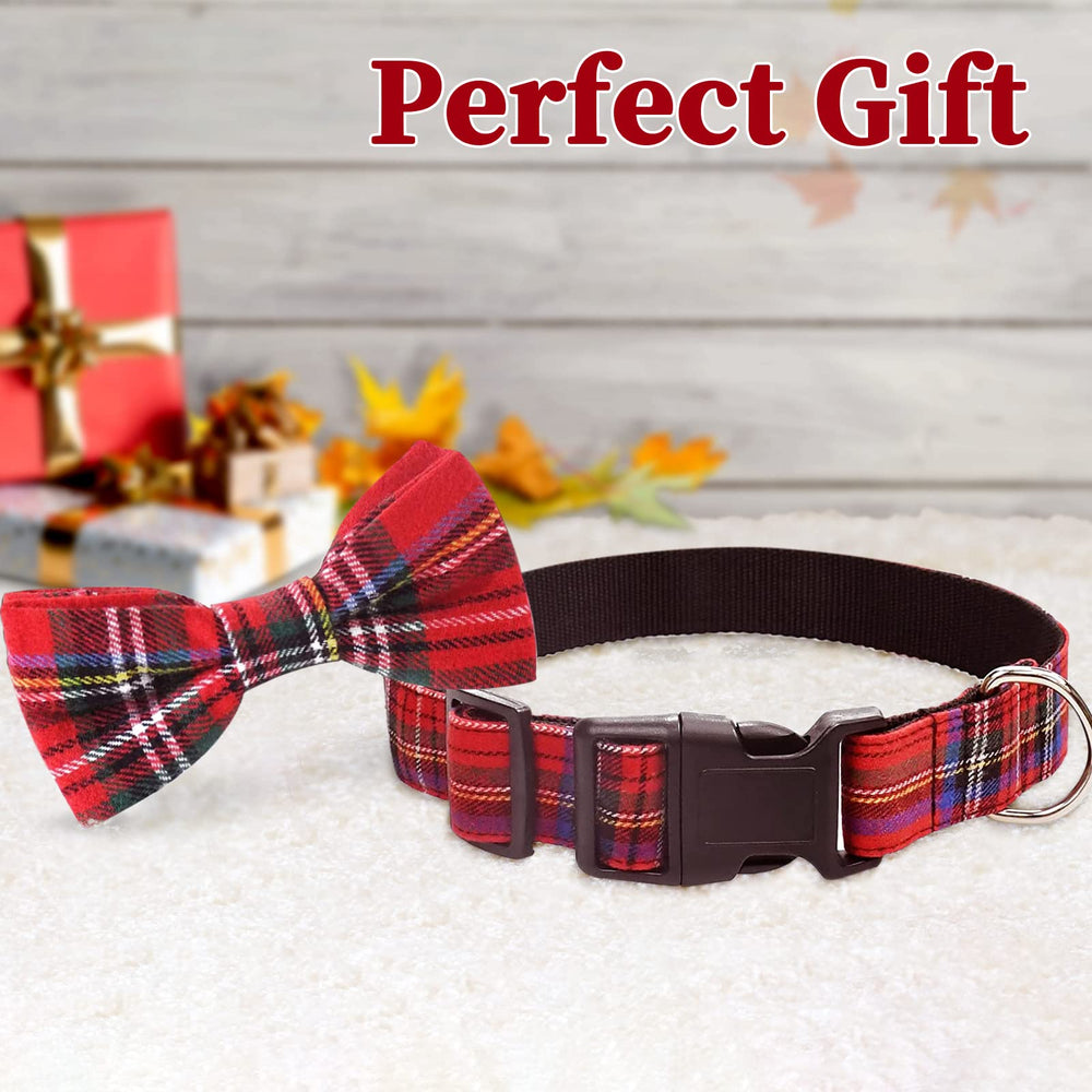 Malier dog-collar-bow-tie-on-cat illustrates secure and gentle fit