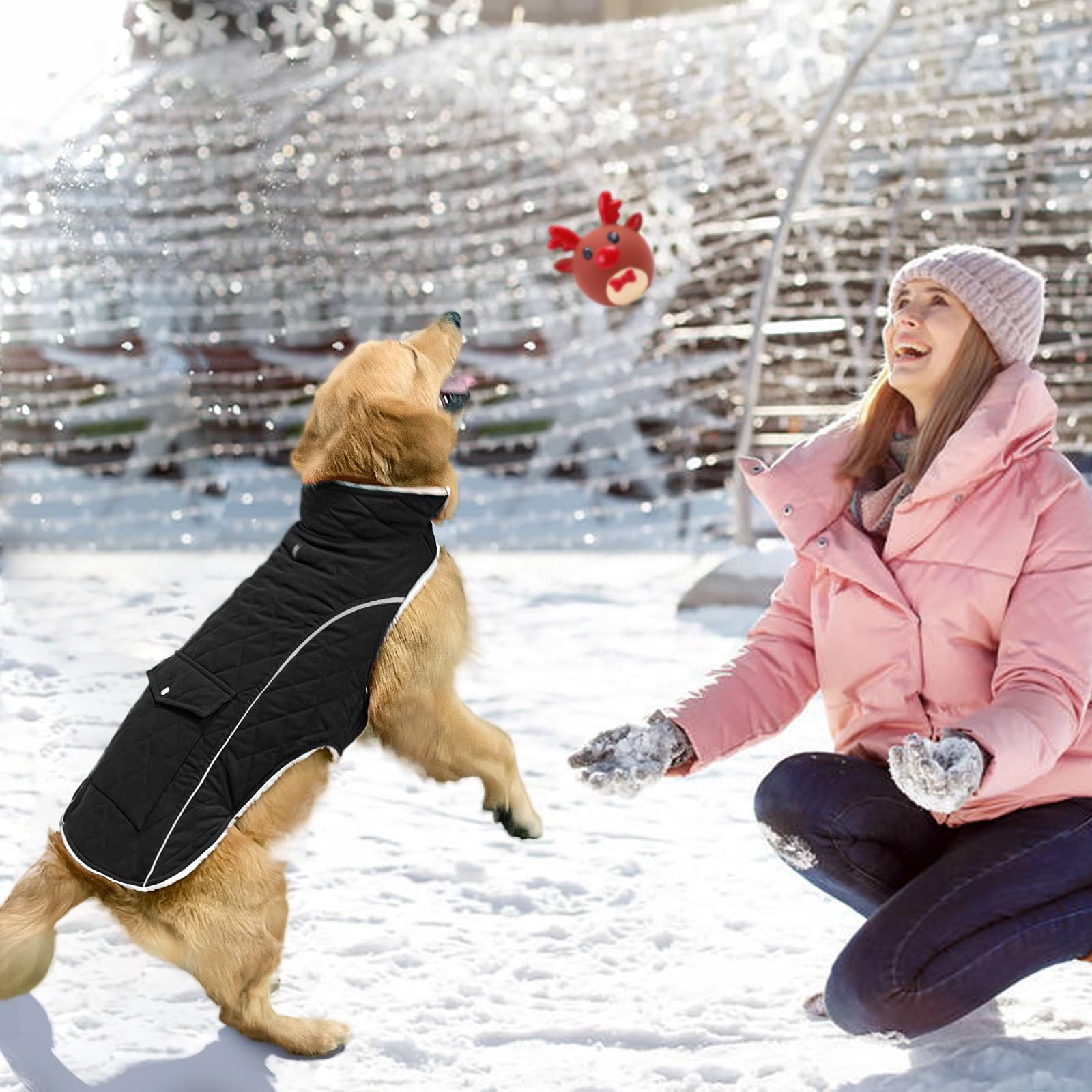 Malier dog winter coat belly fastener close-up for easy on/off and secure fit