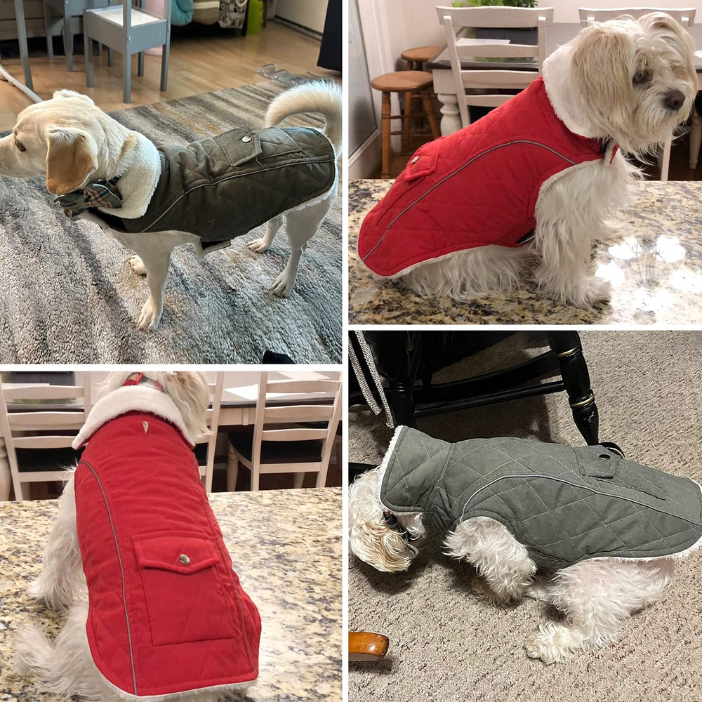 Malier fleece-lined interior keeps dog comfortable in varied weather