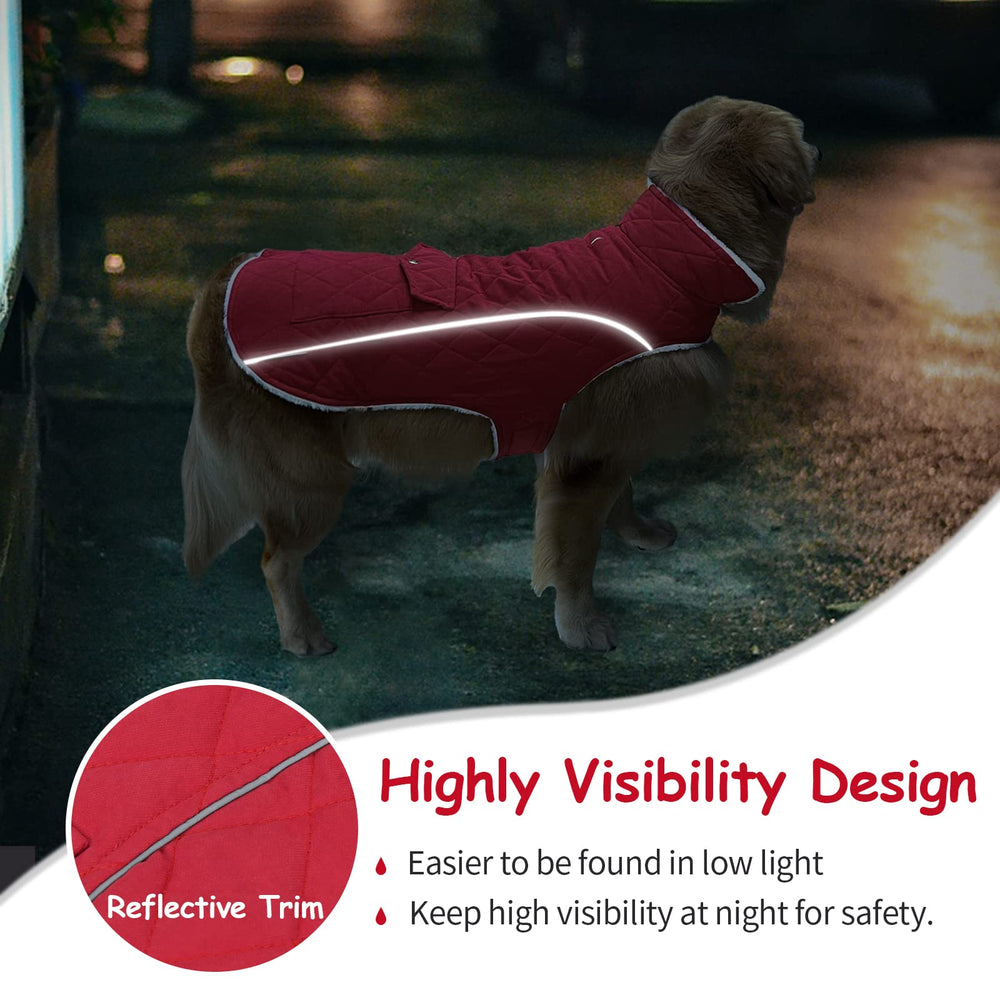Malier coat shows leash hole for easy attachment during outdoor adventures