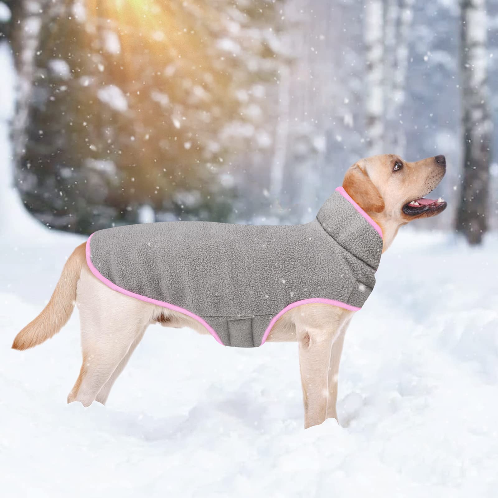 Malier dog winter coat model wearing pink during outdoor walk