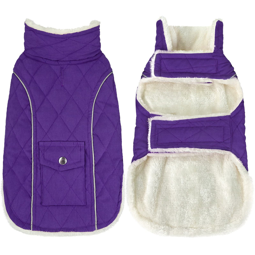 Malier dog winter coat purple front view shows windproof warmth for winter walks