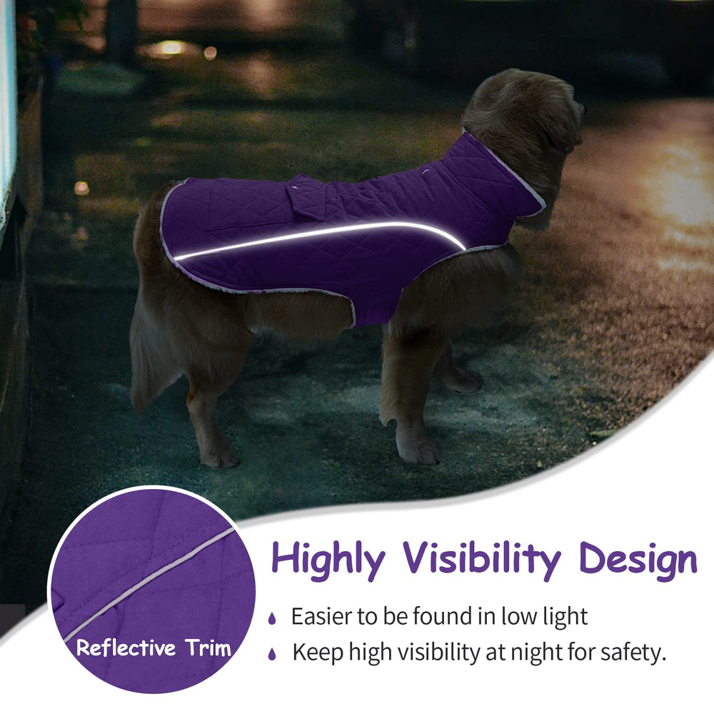 Malier dog winter coat reflective safety shows high visibility during low light