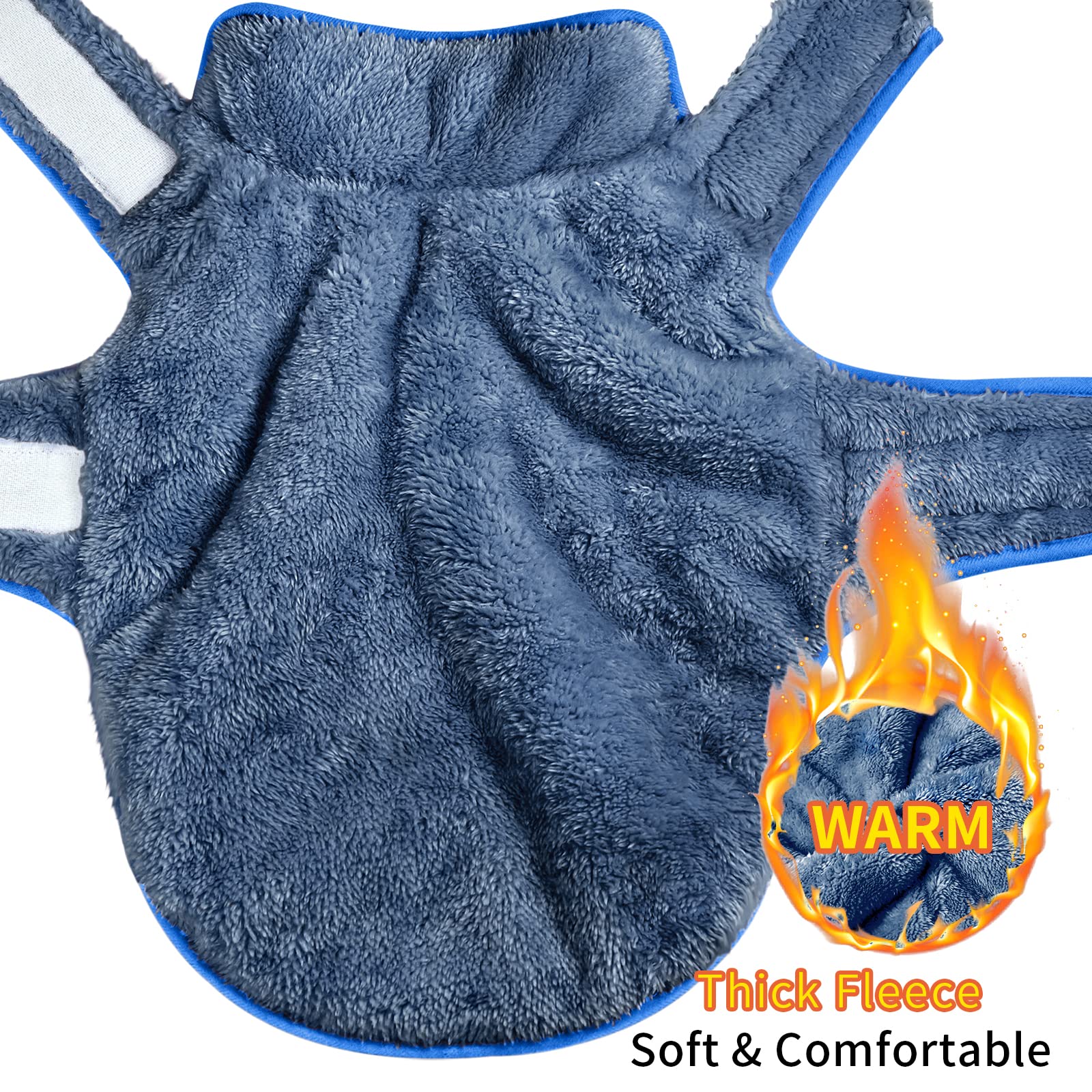 Malier dog winter coat reversible blue back view demonstrates wind resistance and full range of motion