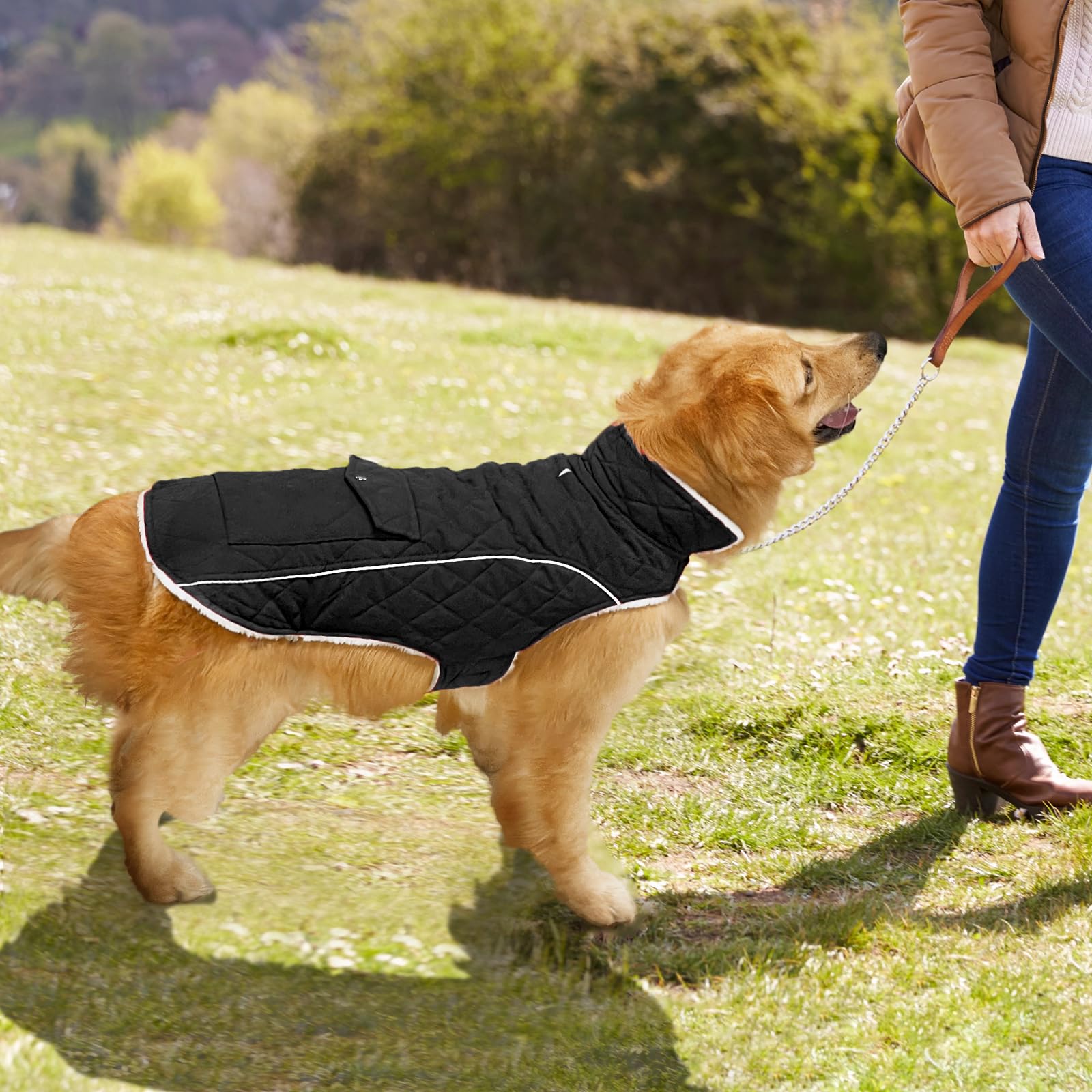 Malier dog winter coat size range graphic showing seven sizes for various breeds