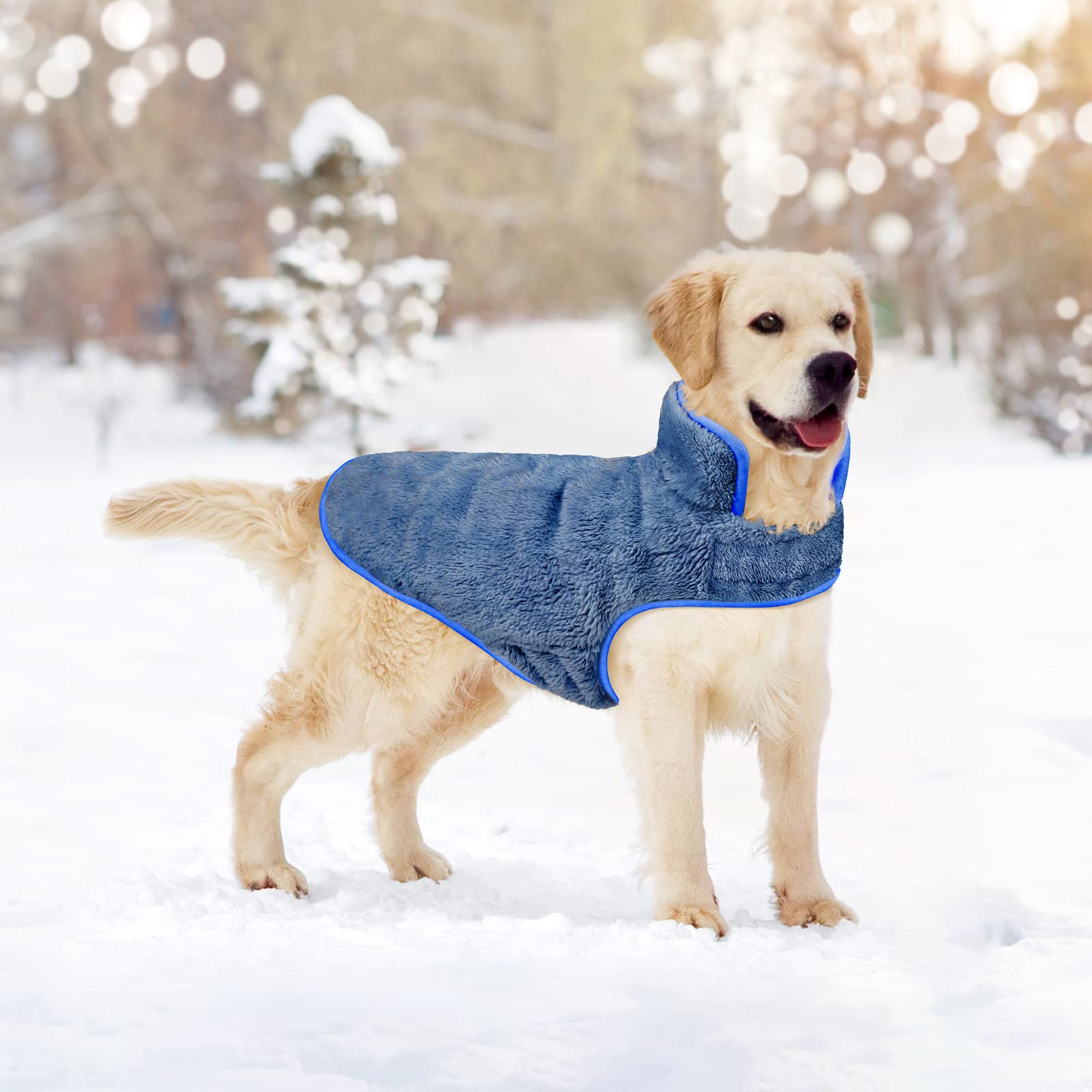 Malier dog winter coat size range shows options for small to large dogs