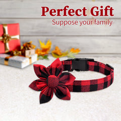 Malier durable buckle and D-ring on plaid collar for secure tags