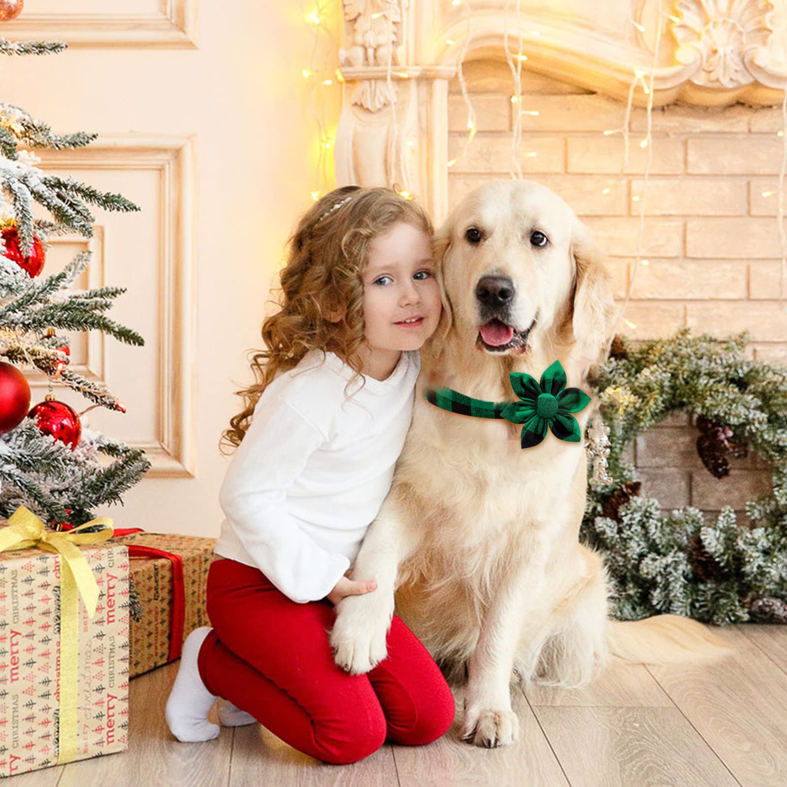 Malier adjustable collars for small to large dogs and cats